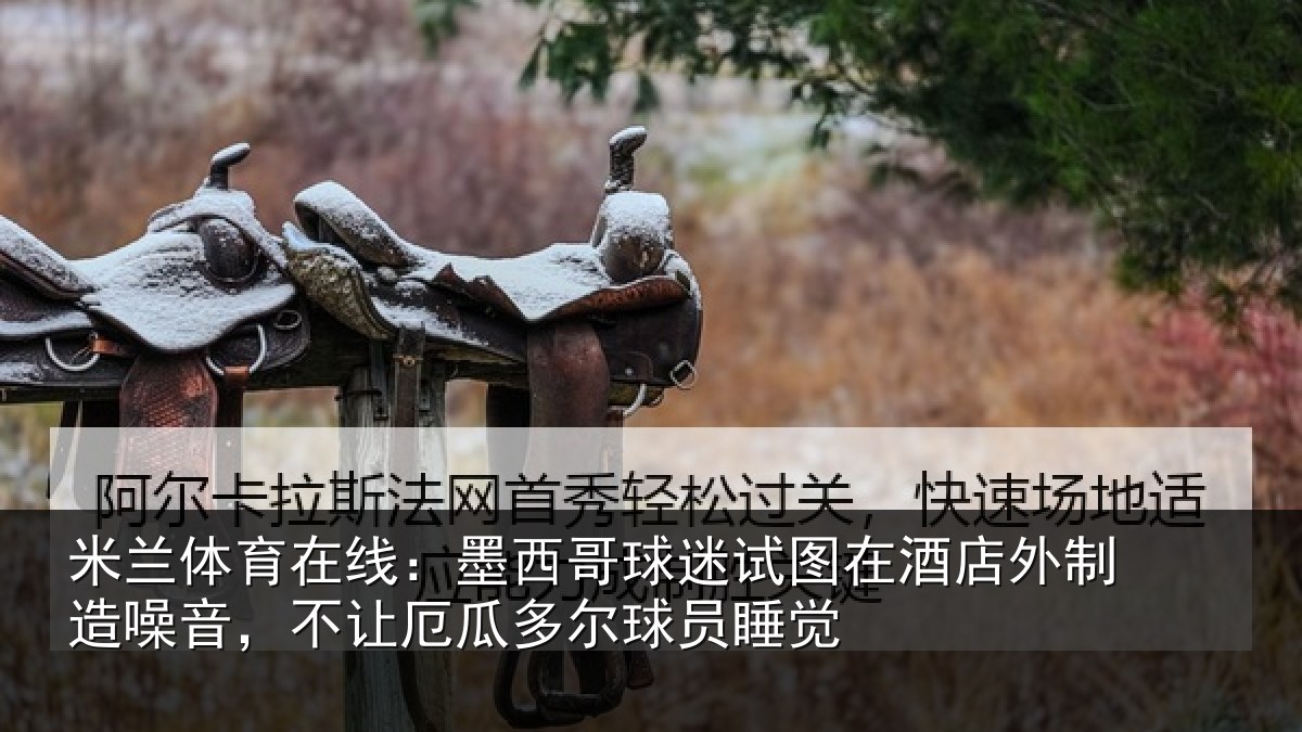 米兰体育在线：墨西哥球迷试图相关情况，不让相关情况