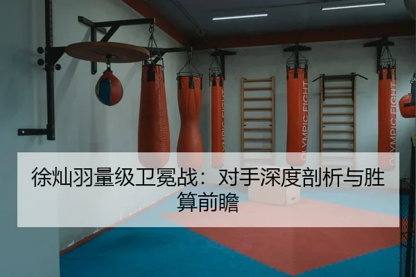 xu-can-yu-liang-ji-wei-mian-zhan-dui-shou-shen-du-pou-xi-yu-sheng-suan-qian-zhan-3-695.jpg