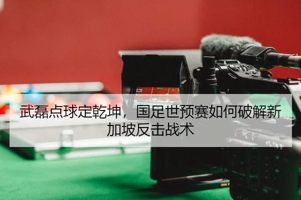 wu-lei-dian-qiu-ding-qian-kun-guo-zu-shi-yu-sai-ru-he-po-jie-xin-jia-po-fan-ji-zhan-shu-2-398.jpg