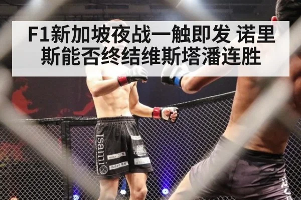 F1新加坡夜战一触即发 诺里斯能否终结维斯塔潘连胜