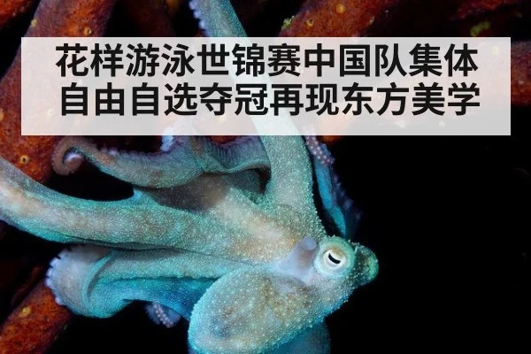 花样游泳世锦赛中国队集体自由自选夺冠再现东方美学
