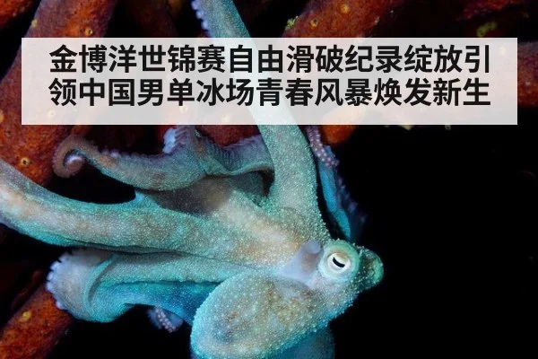 金博洋世锦赛自由滑破纪录绽放引领中国男单冰场青春风暴焕发新生